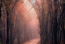 金年会体育官方网站：西甲第33輪西班牙人0-1巴列卡諾 德托馬斯錯失單刀瓜迪奧拉破門.