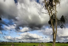 金年会体育:薩馬爾季奇詳述近乎加盟國米經歷,對加盟尤文傳聞一無所知.