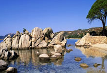 金年会体育官网入口：裏昂簽下大巴黎新星中場迪亞瓦拉！.